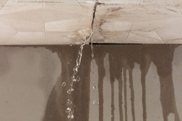 Professional Flood Damage Cleanup technician working in Waterville, OH